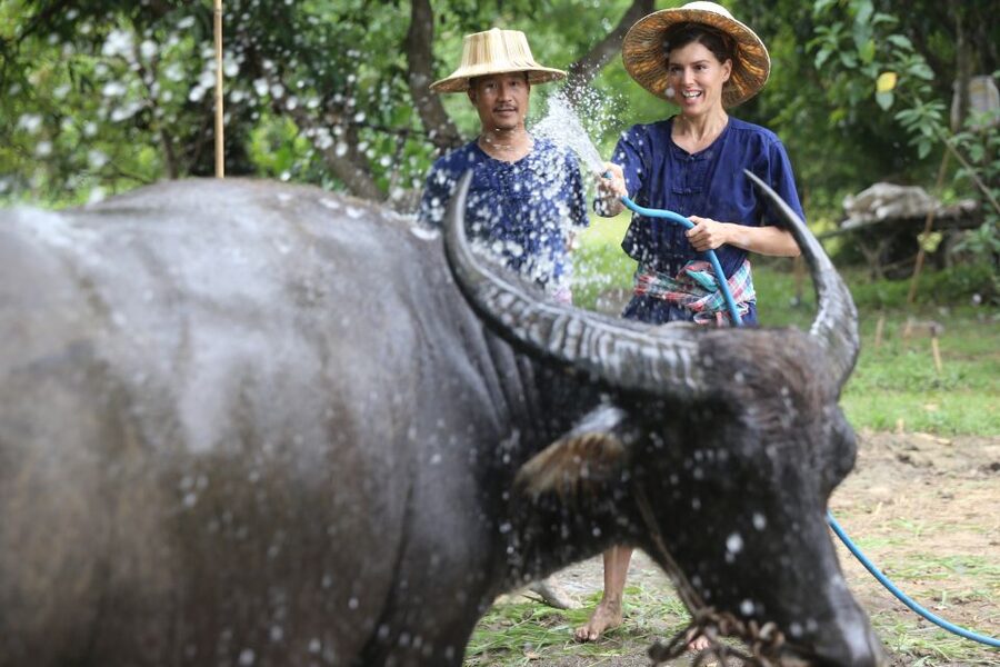 Chiang Mai: Thai Buffalo and Rice Planting Experience - A generous lunch after the work