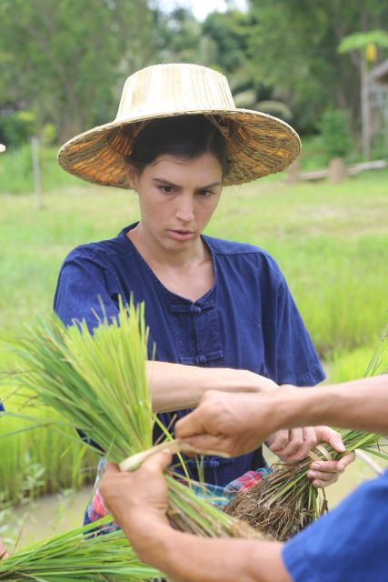 Chiang Mai: Thai Buffalo and Rice Planting Experience - Why the small group matters