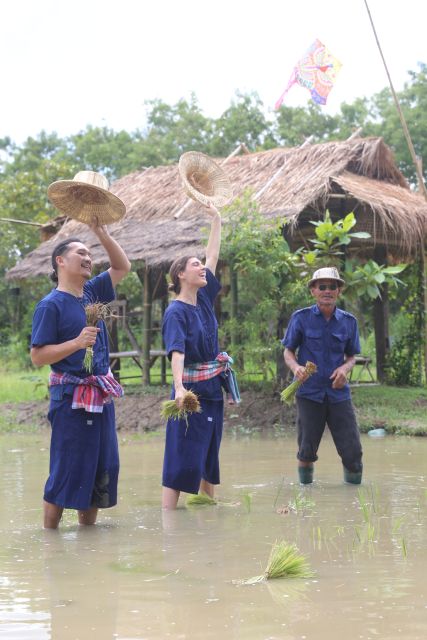 Chiang Mai: Thai Buffalo and Rice Planting Experience - What $57 buys you