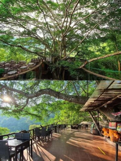 The Giant Café & Mae Kampong Village Day Trip