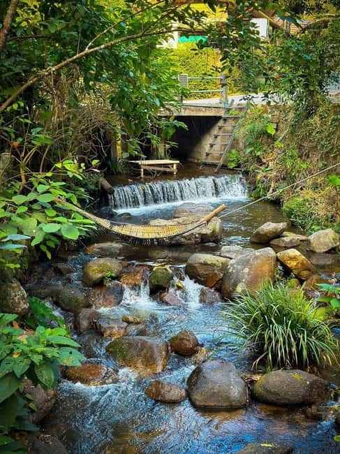 Chiang Mai: The Giant Café & Mae Kampong Village Day Trip - Guides who shape the day