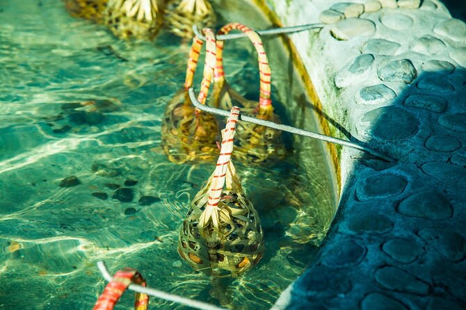 Chiang Mai to White & Blue Temple, Black Museum & Golden Triangle - Mae Khachan Hot Spring breaks up the drive