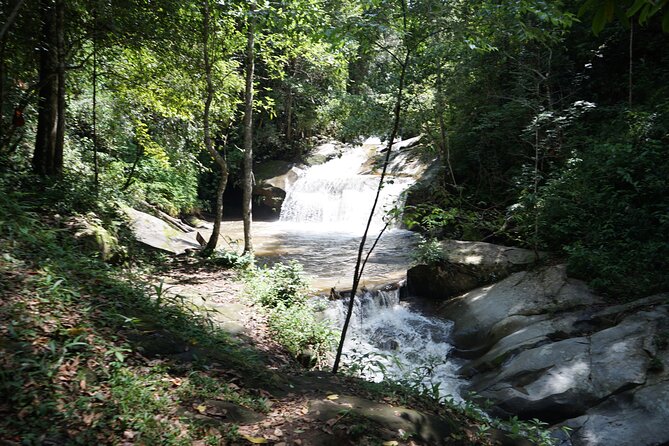 Chiang Mai Trekking Tour :Full day (no rafting) - Walking the local jungle trails