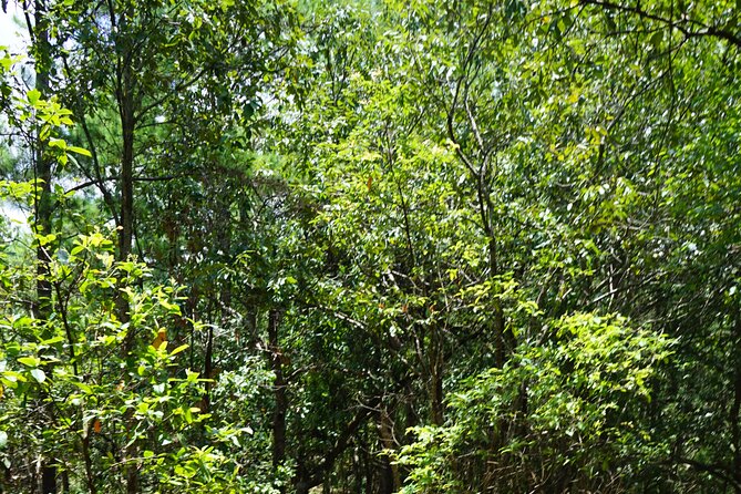 Chiang Mai Trekking Tour :Full day (no rafting) - Cooling off at the waterfall