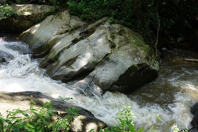 Chiang Mai Trekking Tour :Full day (no rafting) - A traditional Thai lunch in the forest