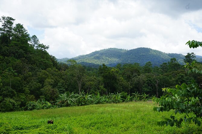 Chiang Mai Trekking Tour :Full day (no rafting) - What the $64.53 price covers