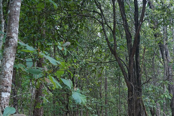 Chiang Mai Trekking Tour :Full day (no rafting) - The eight-hour schedule and its limits