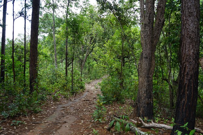 Chiang Mai Trekking Tour :Full day (no rafting) - Weather, fitness, and what to pack