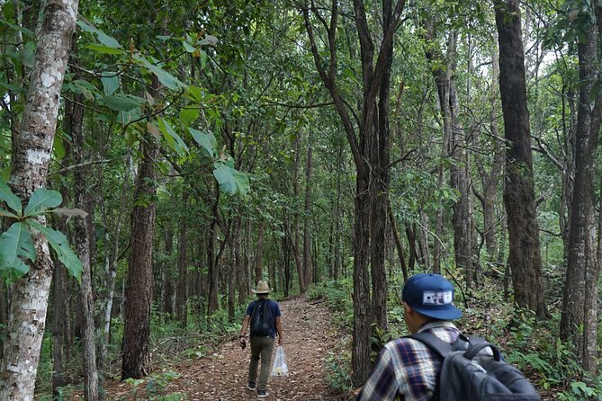 Chiang Mai Trekking Tour :Full day (no rafting) - Reaching Elephant Pride Sanctuary