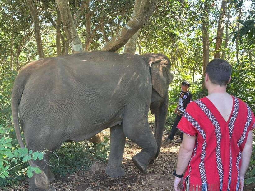 Chiang Mai Untouched Elephant: Nature Walk & Waterfall Trek - Preparing food and meeting the mahout families