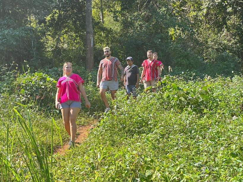 Chiang Mai Untouched Elephant: Nature Walk & Waterfall Trek - What to bring and how to prepare