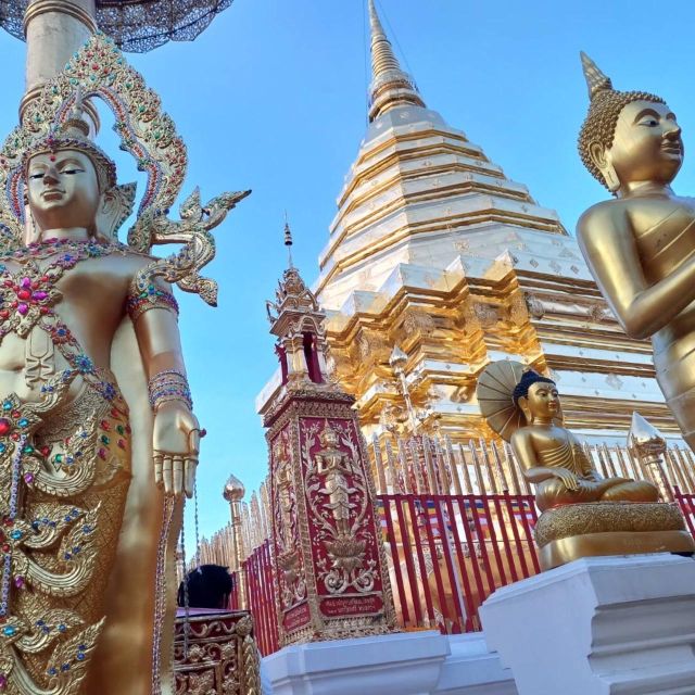 Chiang Mai: Wat Pha Lat & Wat Phra That Doi Suthep Tour - Key points at a glance