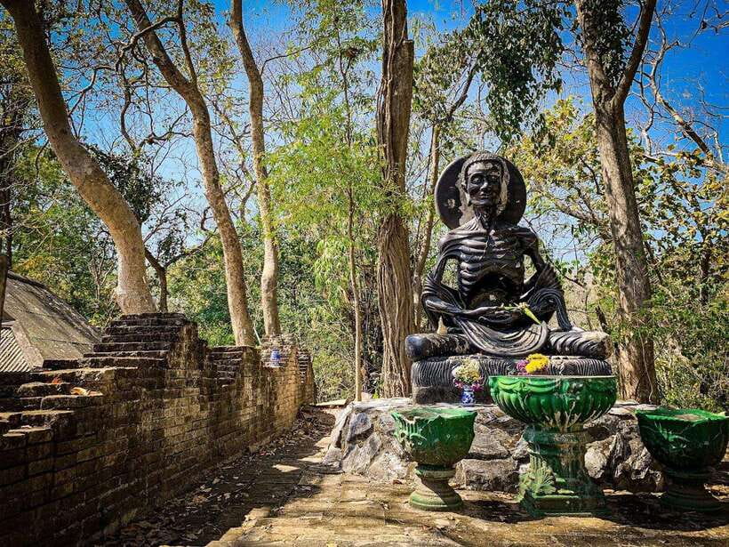 Chiang Mai:Wat Phra That Doi Suthep & Wat Umong Evening Tour - Booking advice before you commit