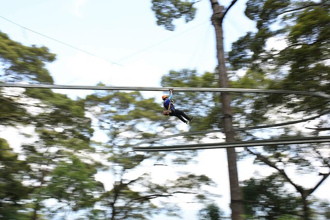Chiang Mai Zip Line Experience - Two abseils add a different kind of challenge