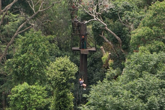 Chiang Mai Zip Line Experience - Morning or afternoon: choosing the better slot
