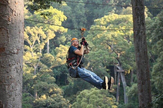 Chiang Mai Zip Line Experience - Is $59.90 a fair price?