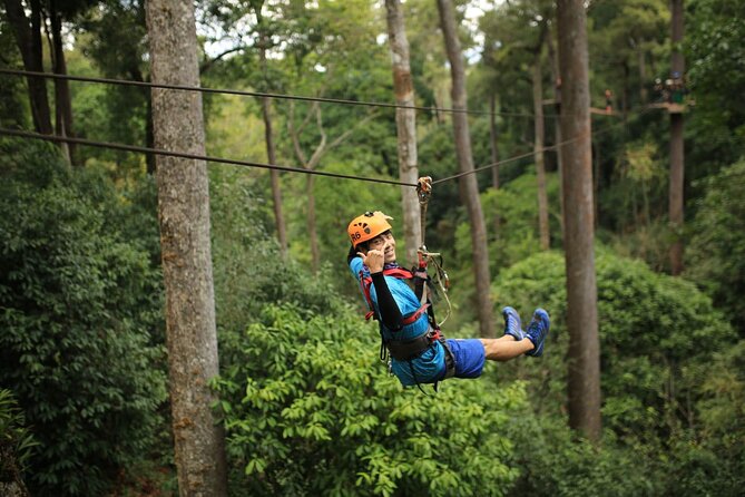 Chiang Mai Zip Line Experience - The 31-platform forest course