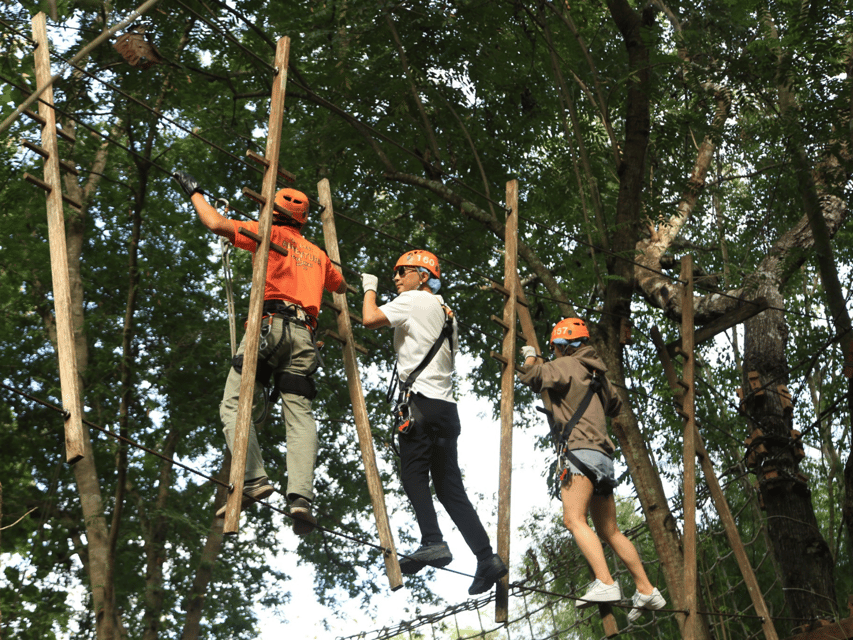 Chiang Mai: Zipline adventure with lunch & city hotel pickup - Who will enjoy this most