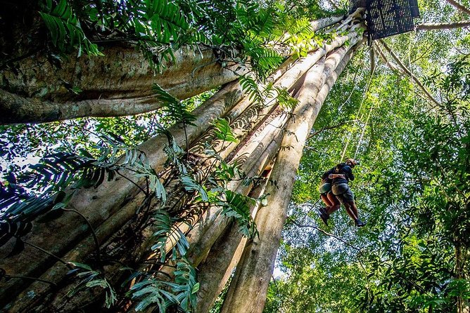 Chiang Mai Zipline White Water Rafting and Elephant Sanctuary - Two hours at the elephant sanctuary