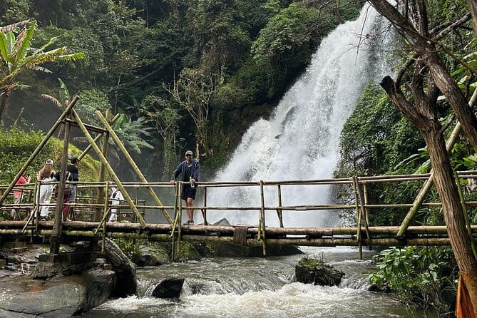 ChiangMai 1DayTour:Elephant Sanctuary,king&queen pagoda,waterfall - Group size, guide quality, and the early start