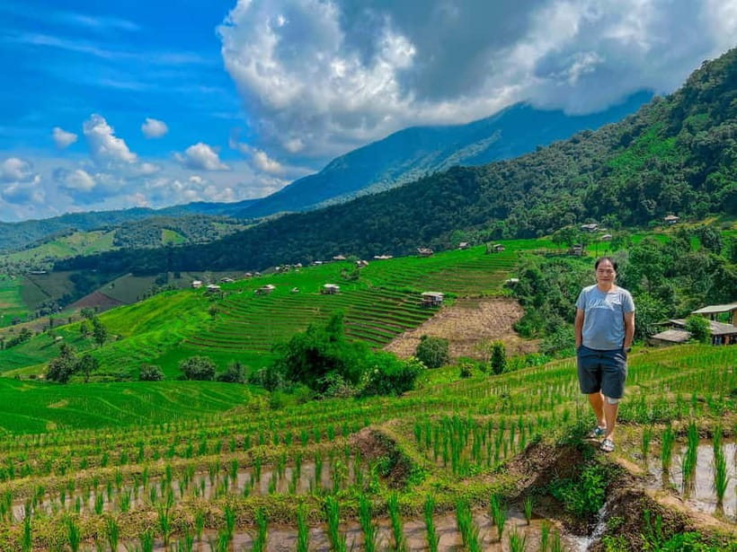 Chiangmai : Doi Inthanon unseen spot , Rice terrace & temple - Why this Doi Inthanon day trip feels different