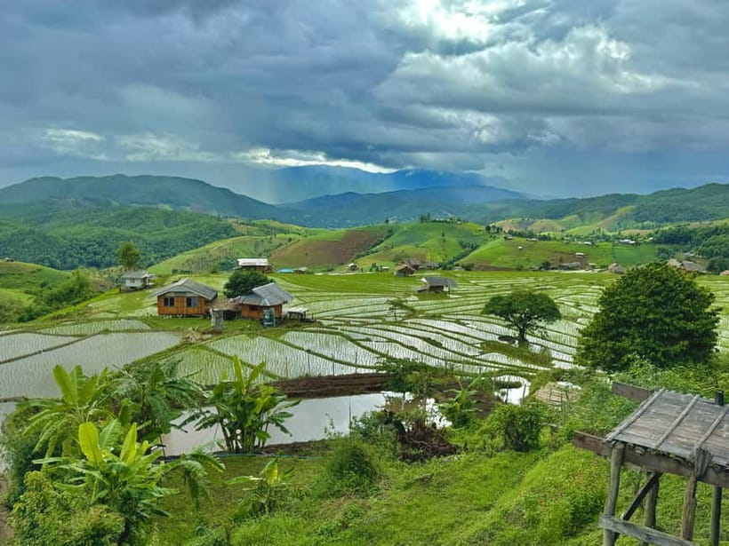 Chiangmai : Doi Inthanon unseen spot , Rice terrace & temple - Rice terraces in changing colors