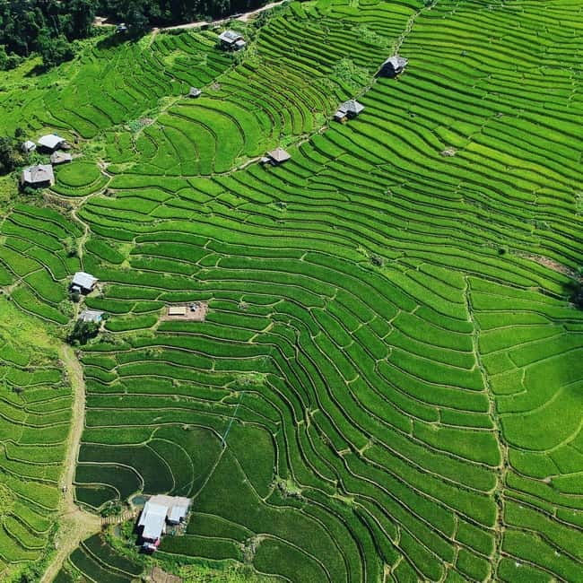 Chiangmai : Doi Inthanon unseen spot , Rice terrace & temple - The 8:00 AM pickup from Chiang Mai
