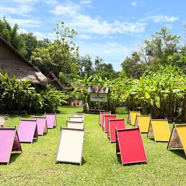 ChiangMai Elephant POOPOOPAPER Park Optional StickyWaterfall - Should you book the POOPOOPAPER Park?