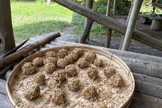 Chiangmai Half Day Visit and Wildlife Experience - A closer look at ethical elephant tourism