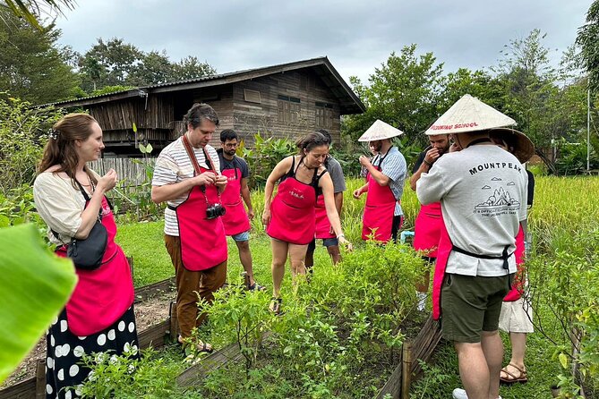 Cooking Class with Organic Farm in Chiang Mai - From Tha Phae Gate to the Countryside
