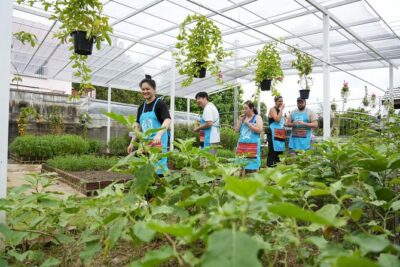 Cooking Class with Organic Farm in Chiang Mai at Mama Noi
