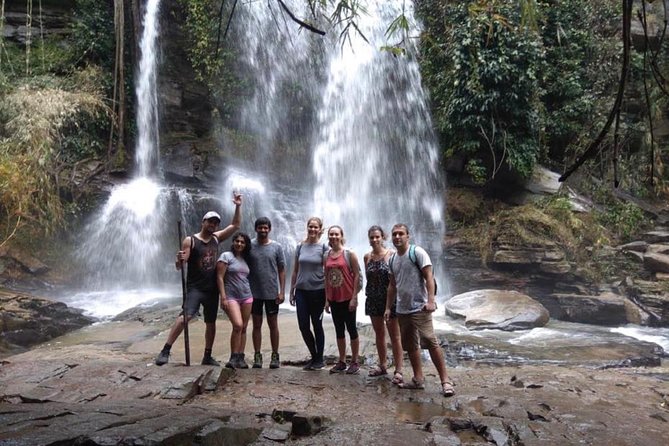 Doi Inthanon Day Trip:Twin Pagodas,Soft Hiking,Coffee Plantation - Kew Mae Pan: The Best Walking Portion