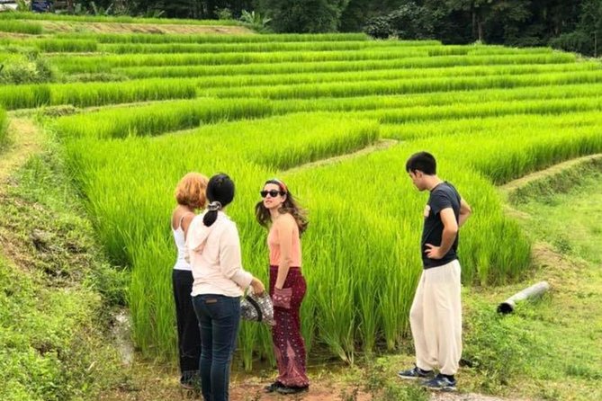 Doi Inthanon Day Trip:Twin Pagodas,Soft Hiking,Coffee Plantation - The Coffee Stop: Tasting Rather Than Plantation Touring