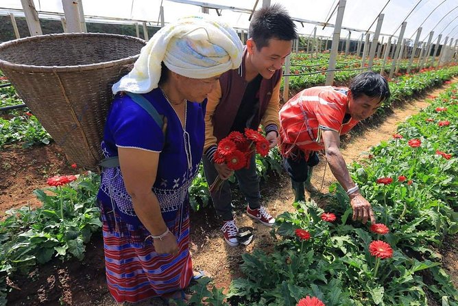 Doi Inthanon Discovery Tour: Waterfalls, Villages & Highest Peak - The 7:00 AM pickup and long mountain road