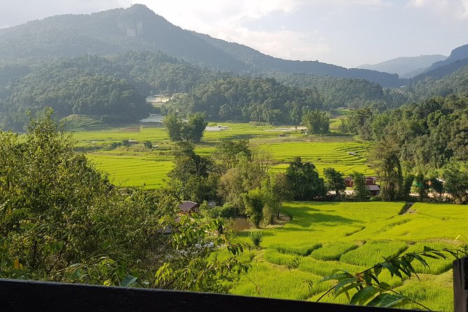 Doi inthanon National Park + 2Hour Fantastic Trekking with Lunch - What $50.80 buys you