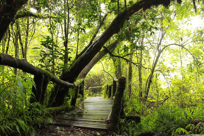 Doi Inthanon National park and 2 hours hiking with private tour - The King and Queen Pagodas and flower gardens