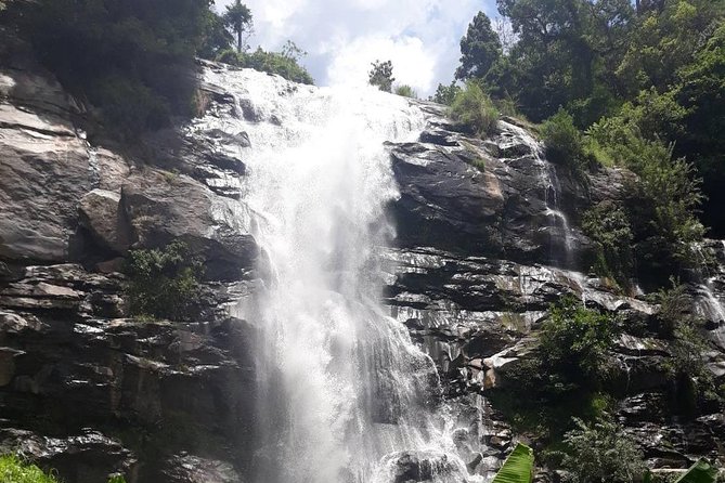 Doi Inthanon National Park Day Trip - Is $125 good value?