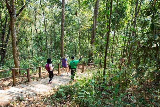 Doi Inthanon National Park Eco-Friendly Full Day Tour - Pickup, pace, and group comfort
