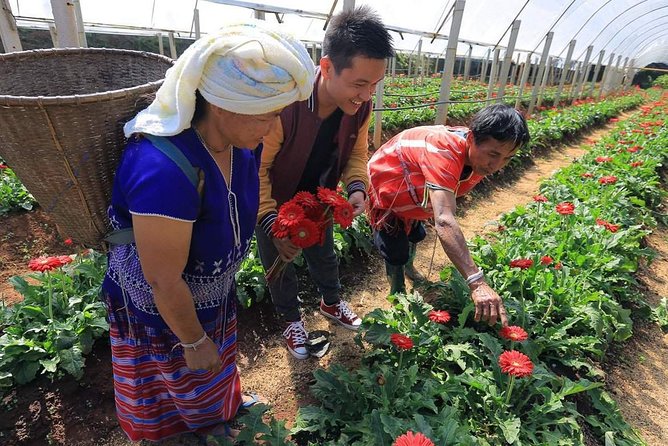 Doi Inthanon National Park Full Day Tour from Chiang Mai - Hmong products and mountain communities
