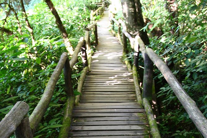 Doi Inthanon National Park including Lunch from Chiang Mai - The twin royal stupas above the clouds