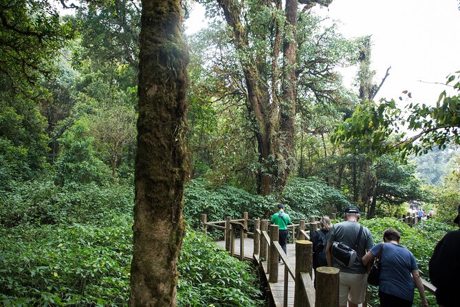 Doi Inthanon National Park Private Tour – Full Day - Wachirathan Falls brings the drama early