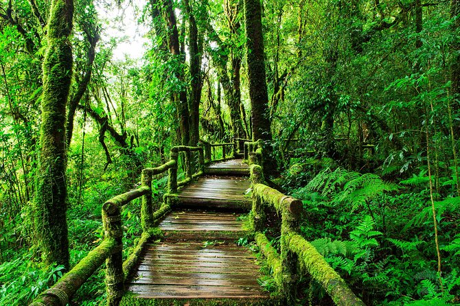 Doi Inthanon National Park - Thailand's Highest Peak - What the guide does, and what you should expect