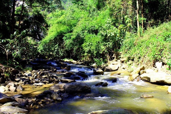 Doi Inthanon National Park, Waterfall & Royal Project Day Tour From Chiang Mai - Ban Mae Klang Luang and the hill-village stops