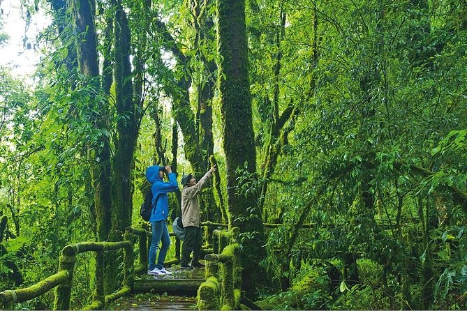 Doi Inthanon Waterfall and Royal Project Chiang Mai - Thailand’s highest point and the Twin Royal Stupas