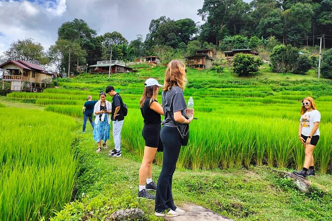 Doi Inthanon Waterfall and Royal Project Chiang Mai - The optional longer hike