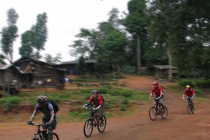 Doi Suthep National Park To Chiang Mai Beginner Downhill Mountain Biking - Huay Tung Tao Lake and the finish