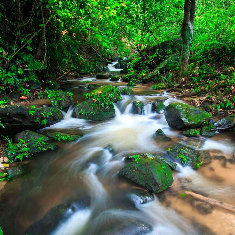 Eco-Friendly: Doi Inthanon & Pha Dok Siew Trekking Day Trip - Reaching Thailand’s highest spot