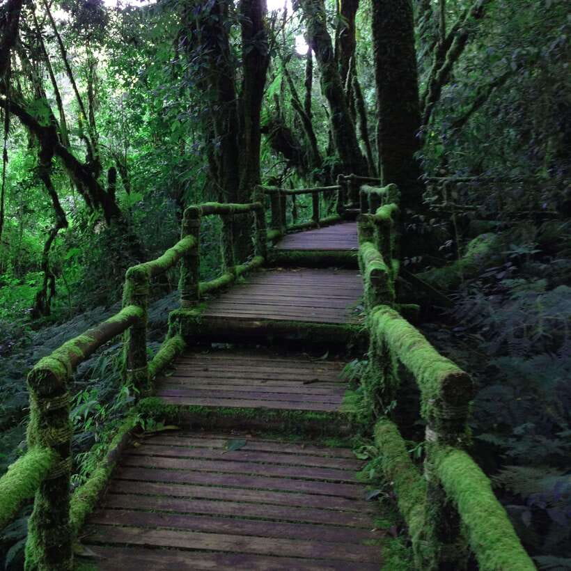 Eco-Friendly: Doi Inthanon & Pha Dok Siew Trekking Day Trip - Lunch and the White Karen village
