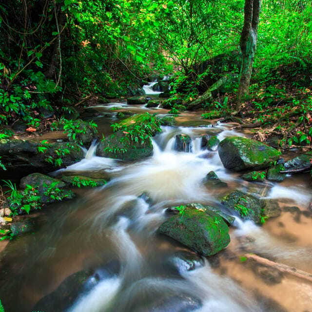 Eco-Friendly: Doi Inthanon & Pha Dok Siew Trekking Day Trip - Should you book it?