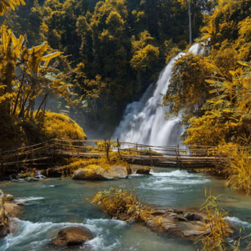 Eco-Friendly: Doi Inthanon & Pha Dok Siew Trekking Day Trip - The King and Queen’s Pagodas